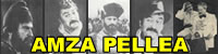 Amza Pellea